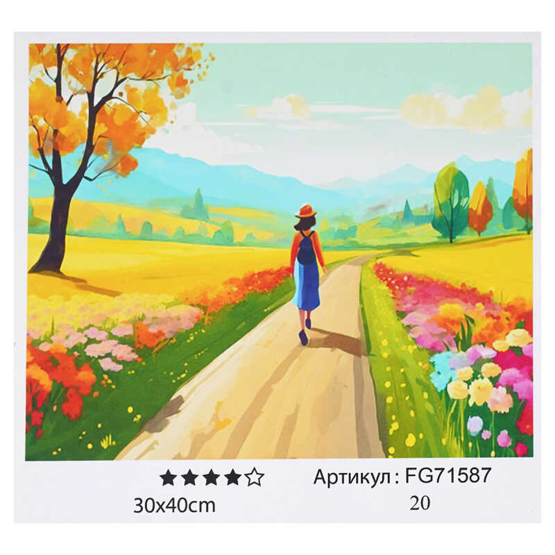 гр Картина за номерами FG 71587 (30) "4FUN Game Club", 30х40 см, в коробці