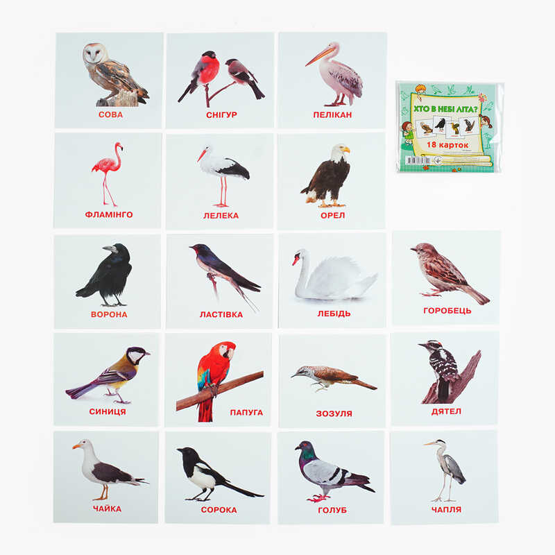 гр Картки міні (18 карток) "Хто у небі літає" 9789669753700 (40) "Jumbi"