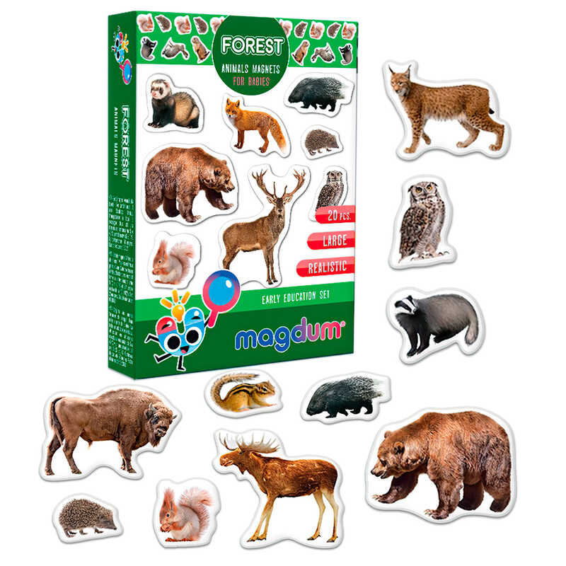 гр Набір магнітів "Forest. Рhoto" ML4031-29 EN (70) "Magdum", англ. мова, в коробці